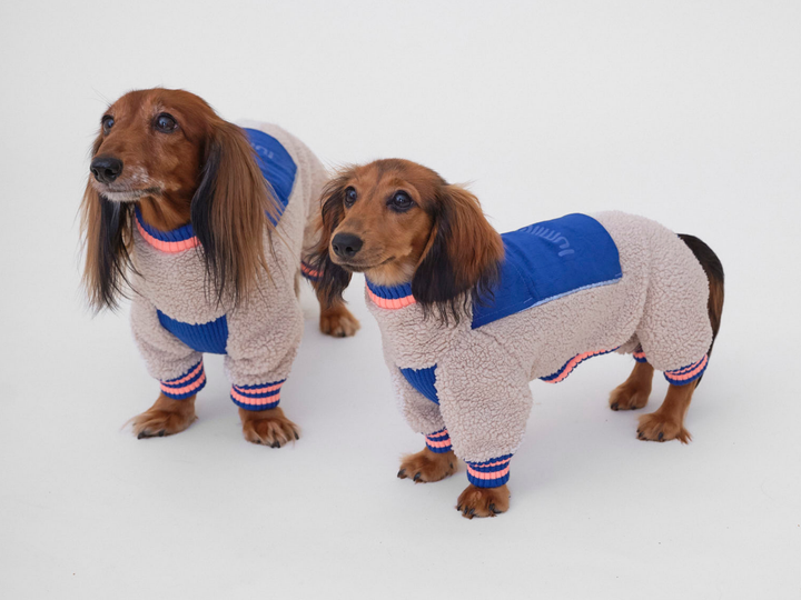 Zwei Langhaardackel im Sherpa-Hundeoverall THE SPORT RACER OVERALL in Royal Alpine von lumiies