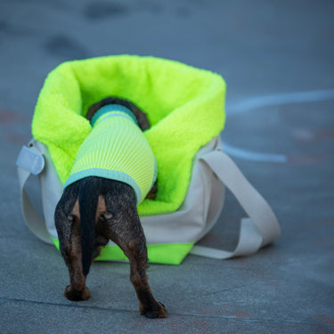 THE GLOW JUMPER - hochelastischer Neon Hundepullover