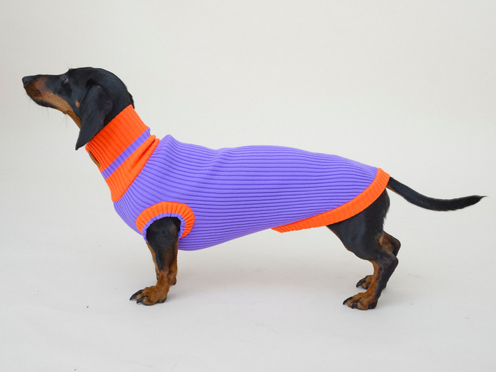 THE GLOW JUMPER 2.0 - Neon Hundepullover - (Poppy Lavender)