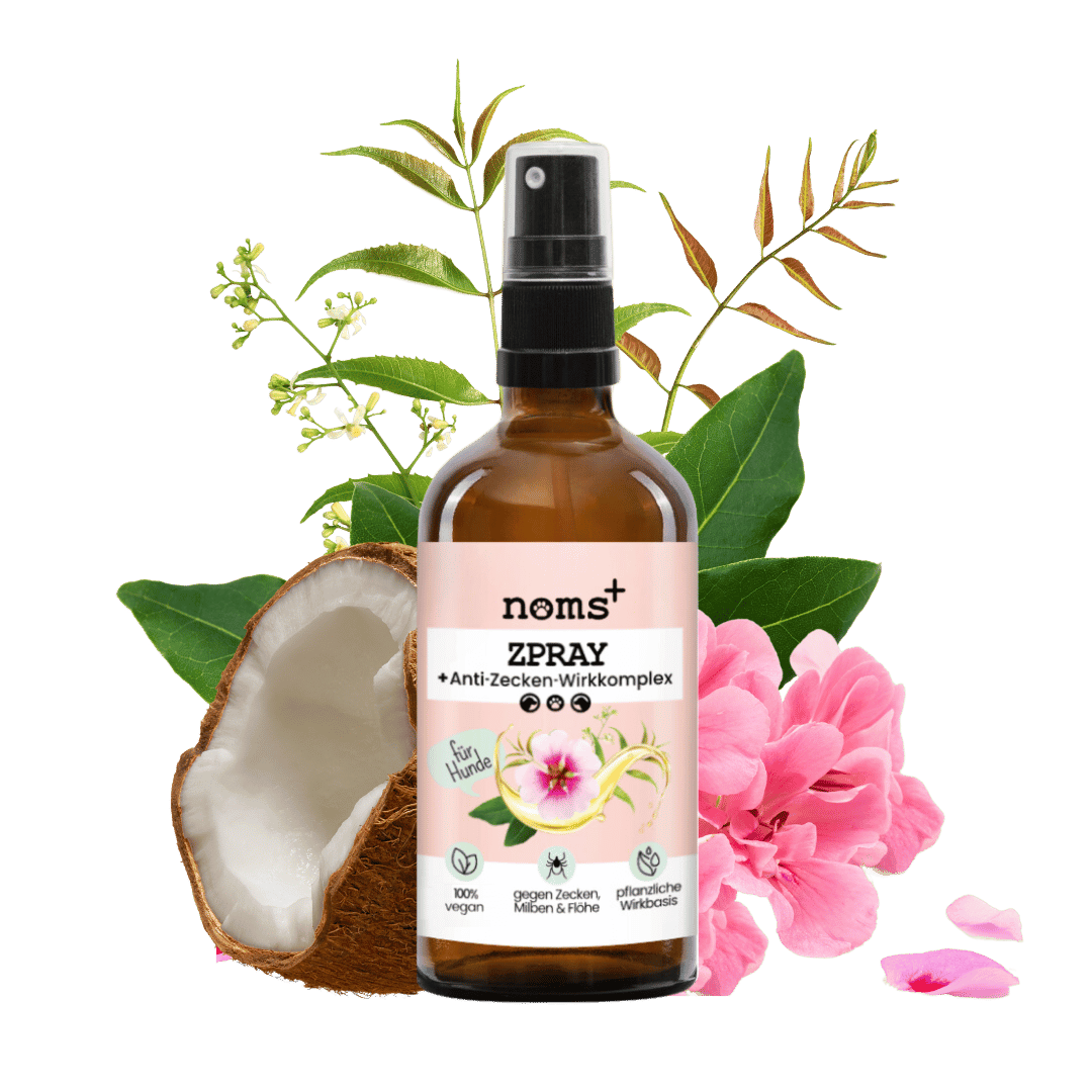 noms+ Zpray gegen Zecken, Flöhe & Milben (30 ml) | lumiies® – lumiies