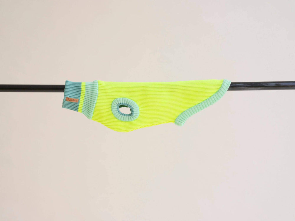 Weicher Hundepullover in Neongelb – lumiies® Glow Jumper mit Sichtbarkeit & Komfort