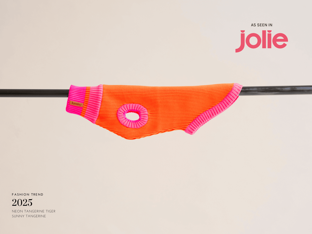 Neonfarbener Hundepullover mit Sichtbarkeit – lumiies® Glow Jumper in Orange und Pink