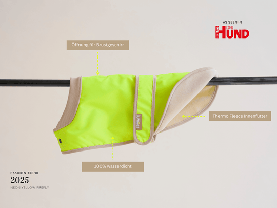 THE GLOW RAINCOAT (wasserdichter Hundemantel für kleine Hunderassen & Dackel) - lumiies - high visibility
