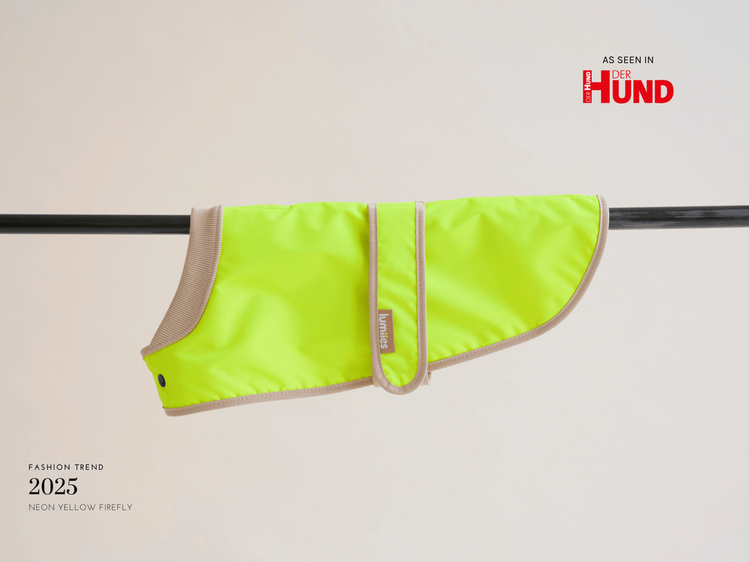 THE GLOW RAINCOAT (wasserdichter Hundemantel für kleine Hunderassen & Dackel) - lumiies - high visibility