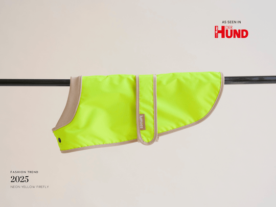 THE GLOW RAINCOAT (wasserdichter Hundemantel für kleine Hunderassen & Dackel) - lumiies - high visibility