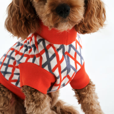 THE CROPPED COTTON JUMPER (Hundepullover)