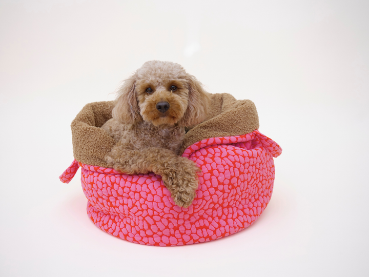 Pudel sitzt im The Studio Nest Pink Lava, mobiles Hundebett und Schlafsack von lumiies mit Teddy-Innenfutter und pink-rotem Muster