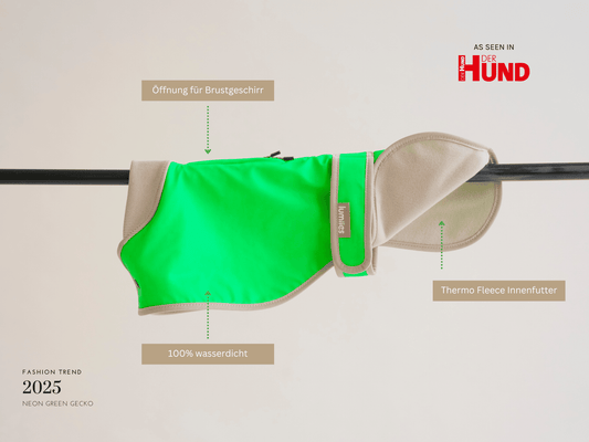 Wasserdichter Hundemantel in Neongrün für Vizsla & Dalmatiner – Glow Raincoat regular-fit