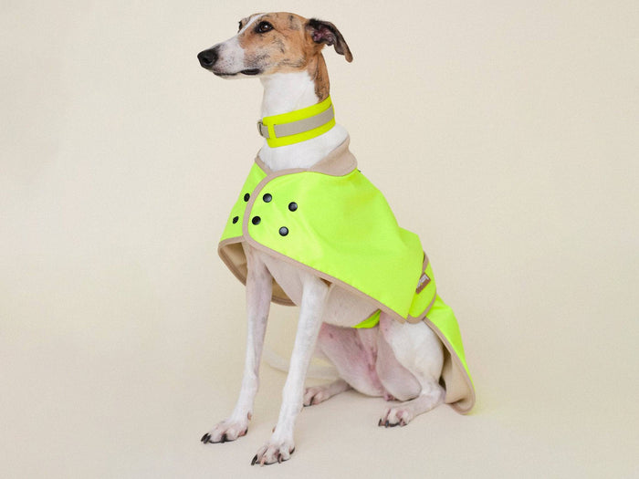 Glow Raincoat Regular Fit Neongelb – wasserdichter Hundemantel für viele Hunderassen, auch Windhunde, Vizsla und Dalmatiner