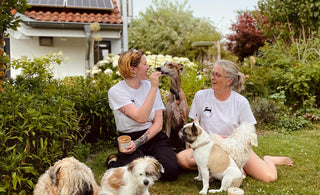 Veganes Hundefutter: Eine Win-Win-Lösung für Ihren Hund und die Umwelt