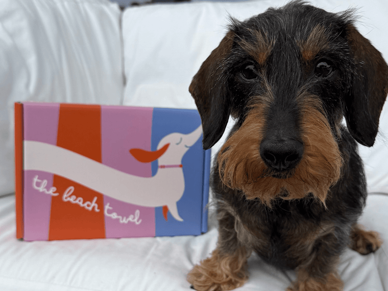 Dackel mit Dackel Strandtuch mit Geschenkbox