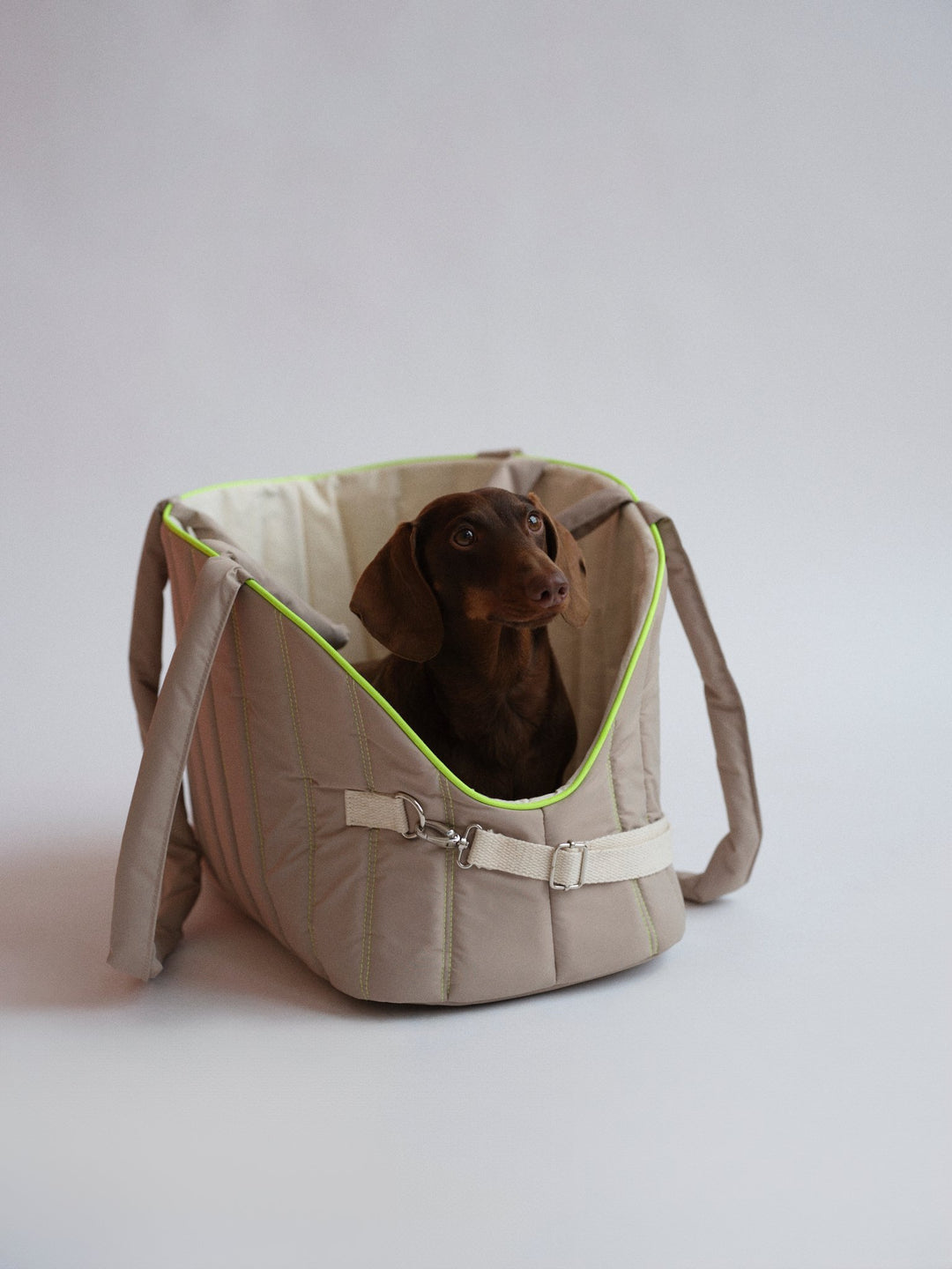 Quel sac de transport pour chien est le bon ?