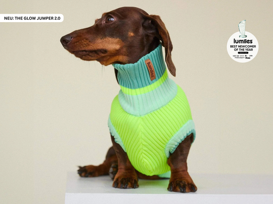 THE GLOW JUMPER 2.0 (Neon Matcha)