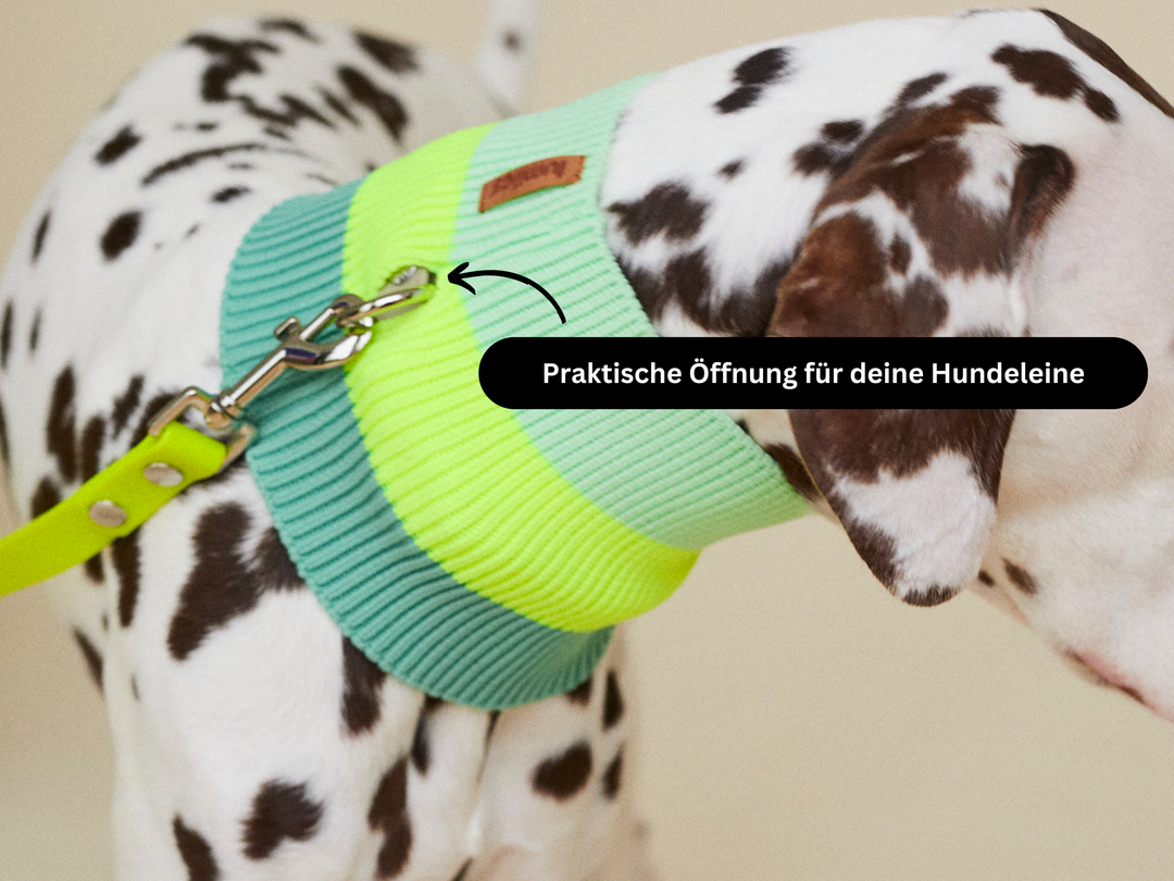 THE GLOW LOOP 2.0 (Electric Sunset)