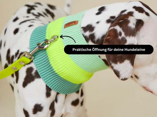 THE GLOW LOOP 2.0 (Electric Sunset)