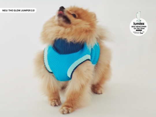 THE GLOW JUMPER 2.0 (Crystal Sky)