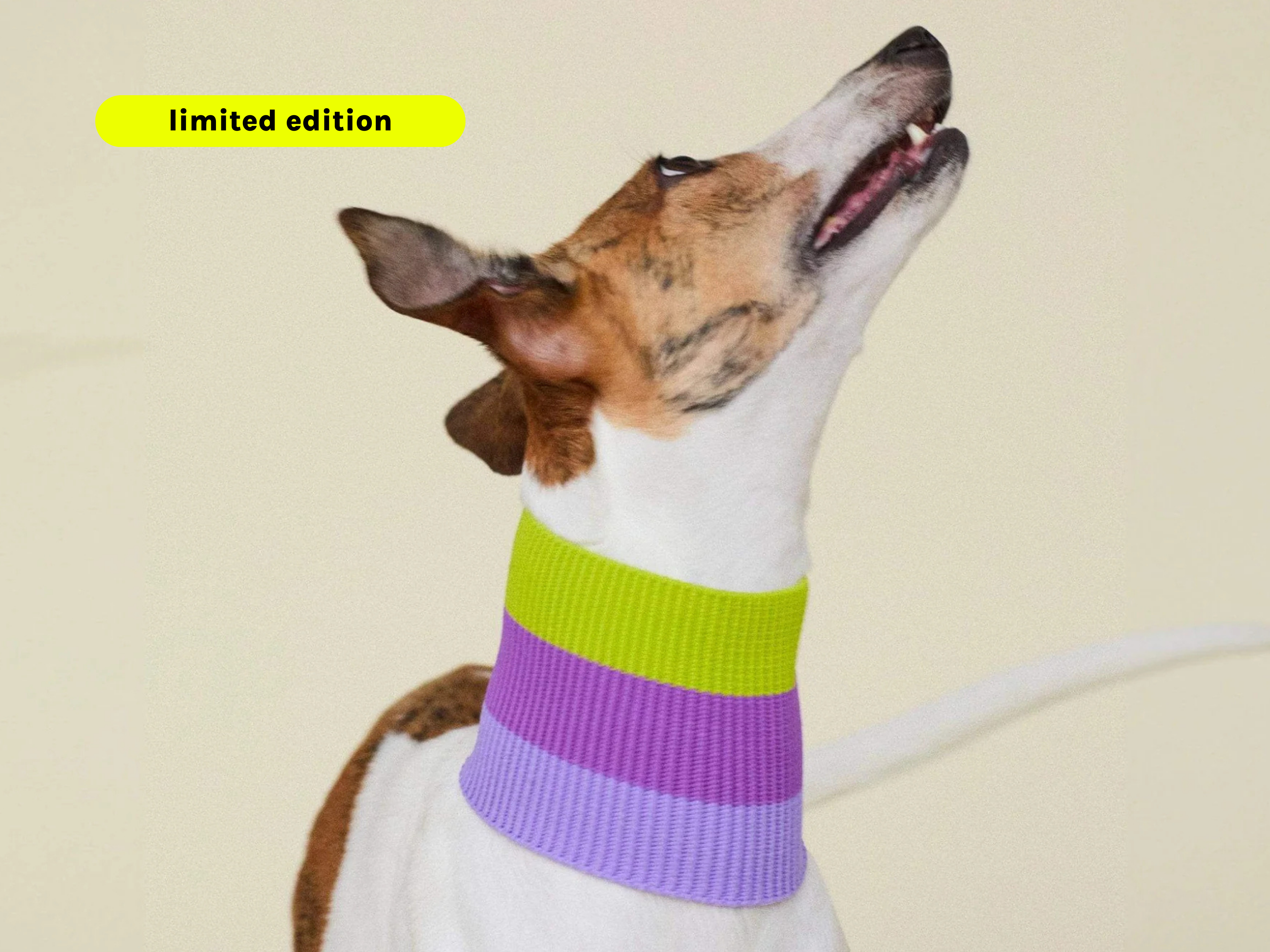 THE GLOW LOOP (violett)