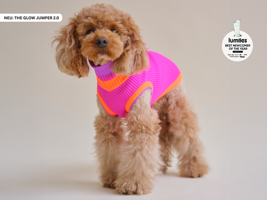 THE GLOW JUMPER 2.0 (Electric Sunset)