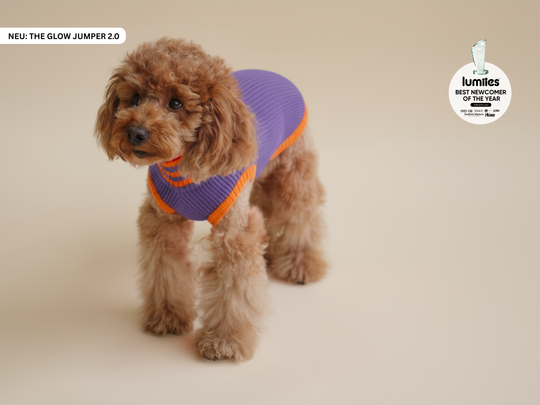 THE GLOW JUMPER 2.0 (Poppy Lavender)