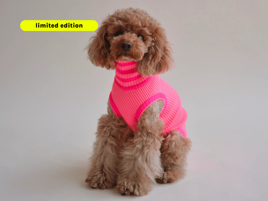 THE GLOW JUMPER (pink)