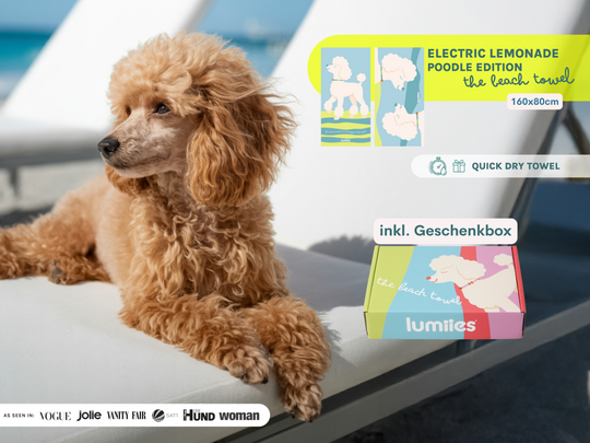 The Beach Towel (160×80 cm) – lightweight, quick-drying microfiber towel (Poodle Edition)
