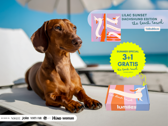 The Beach Towel (160×80 cm) – lightweight, quick-drying microfiber towel (Dachshund Edition)
