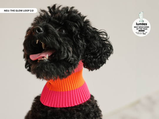 THE GLOW LOOP 2.0 (Sunny Tangerine)