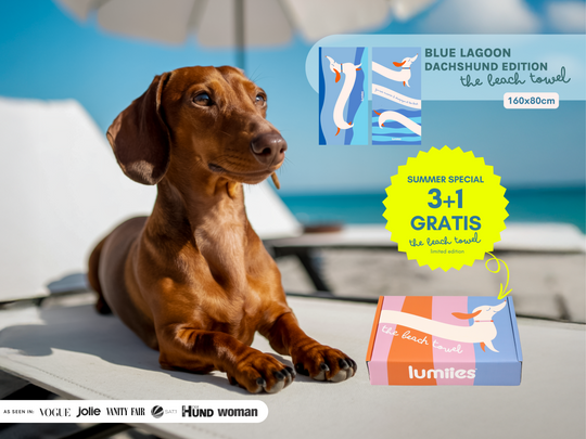 The Beach Towel (160×80 cm) – lightweight, quick-drying microfiber towel (Dachshund Edition)
