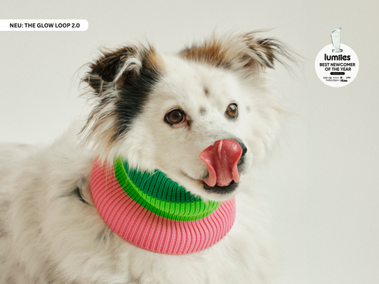 THE GLOW LOOP 2.0 (Watermelon Crush)