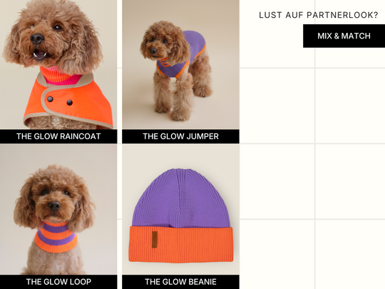 THE GLOW JUMPER 2.0 (Poppy Lavender)