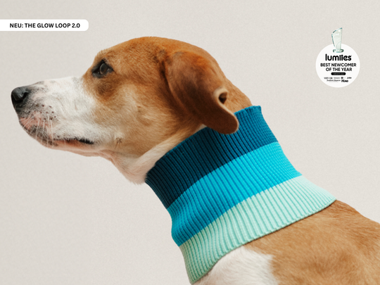 THE GLOW LOOP 2.0 (Crystal Sky)