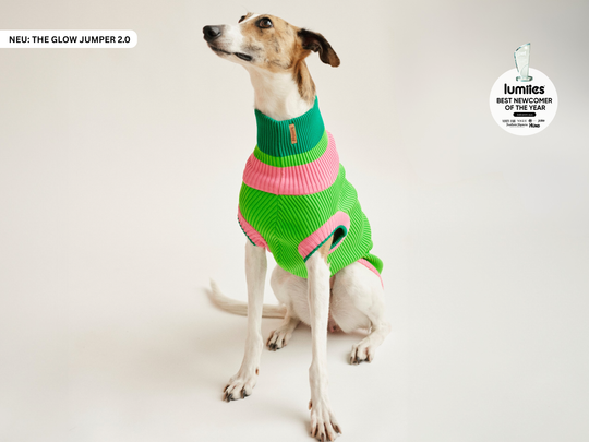 THE GLOW JUMPER 2.0 (Watermelon Crush)