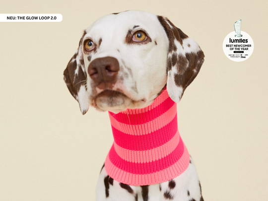 THE GLOW LOOP 2.0 (Pink Parade)