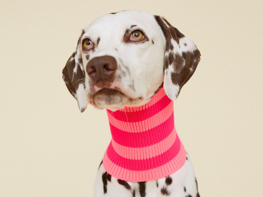 THE GLOW LOOP 2.0 (Pink Parade)