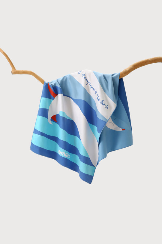 The Beach Towel (160×80 cm) – leichtes, schnelltrocknendes Mikrofaser-Handtuch