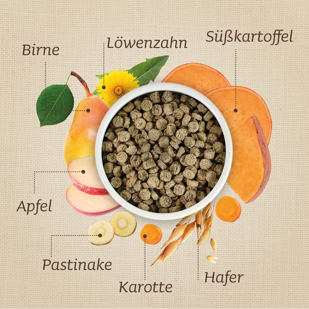 Leiky Testpaket (5er Set)