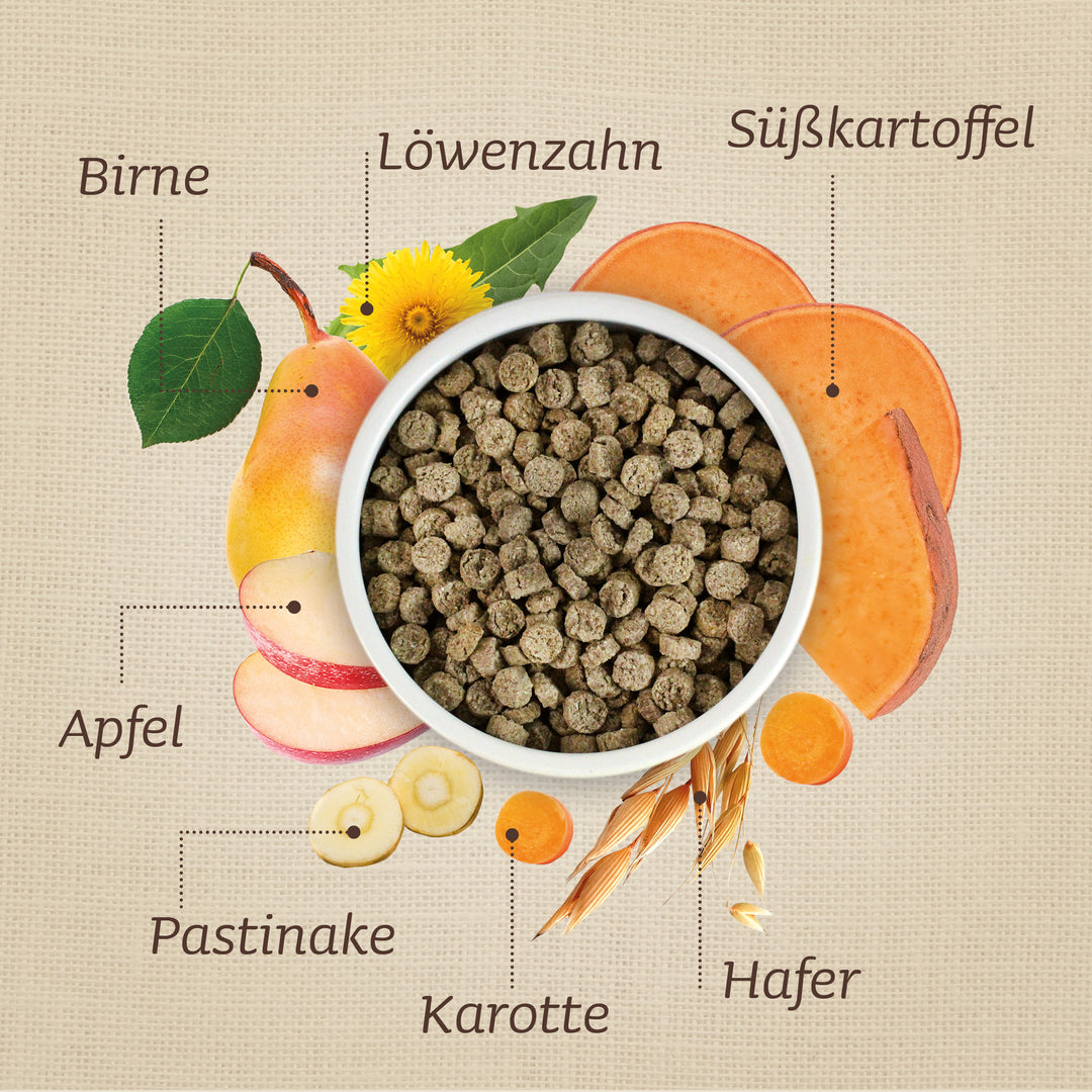 Leiky Testpaket (5er Set)