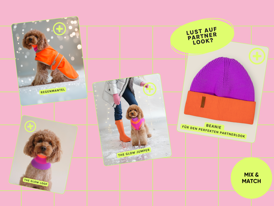 Electric Sunset Farbkombination