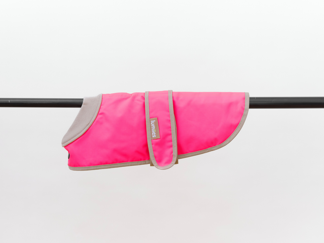 Regenmantel für Dackel und kleine Hunde in Neonpink, wasserdicht, Produktfoto von lumiies