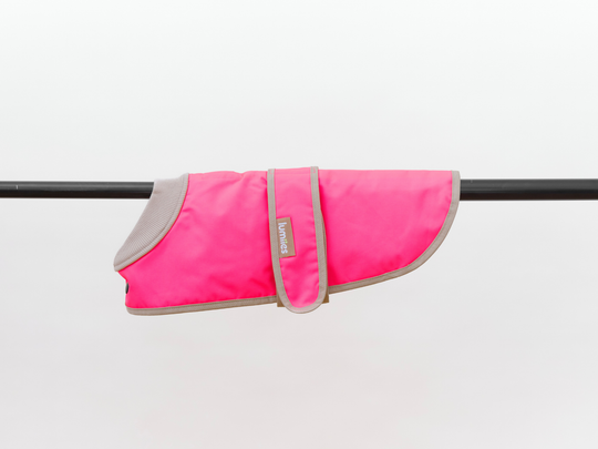 Regenmantel für Dackel und kleine Hunde in Neonpink, wasserdicht, Produktfoto von lumiies