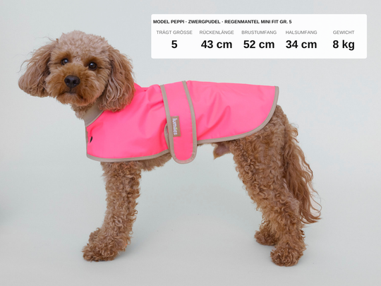 Zwergpudel Peppi im Regenmantel für Dackel und kleine Hunde in Neonpink, 8 kg, Rückenlänge 43 cm, trägt Größe 5