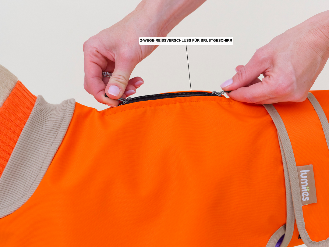 2-Wege-Reissverschluss für das Brustgeschirr am Regenmantel für Hunde in Neonorange
