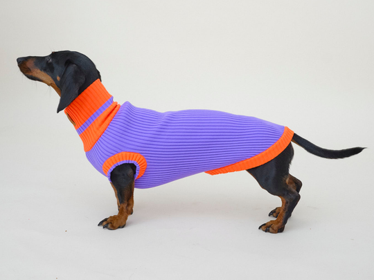 THE GLOW JUMPER 2.0 - Neon Hundepullover - (Poppy Lavender)
