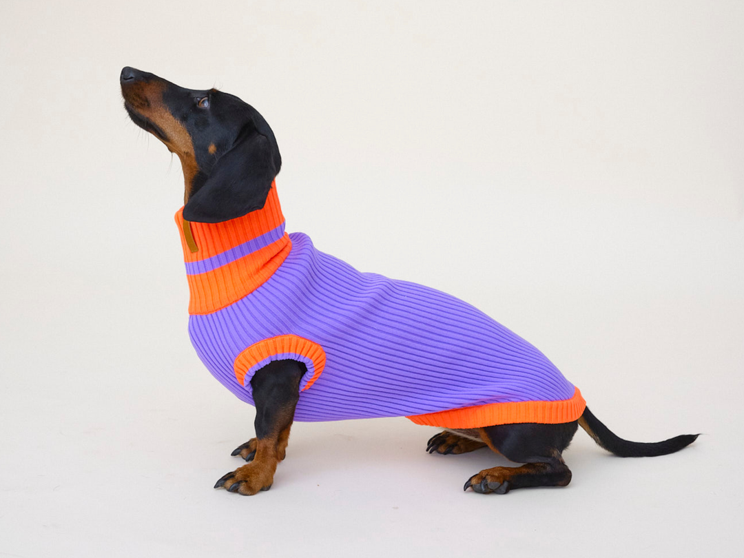 THE GLOW JUMPER 2.0 - Neon Hundepullover - (Poppy Lavender)