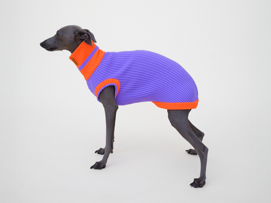 THE GLOW JUMPER 2.0 - Neon Hundepullover - (Poppy Lavender)