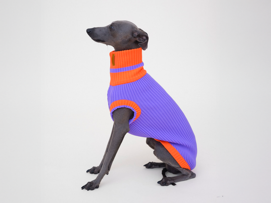 THE GLOW JUMPER 2.0 - Neon Hundepullover - (Poppy Lavender)