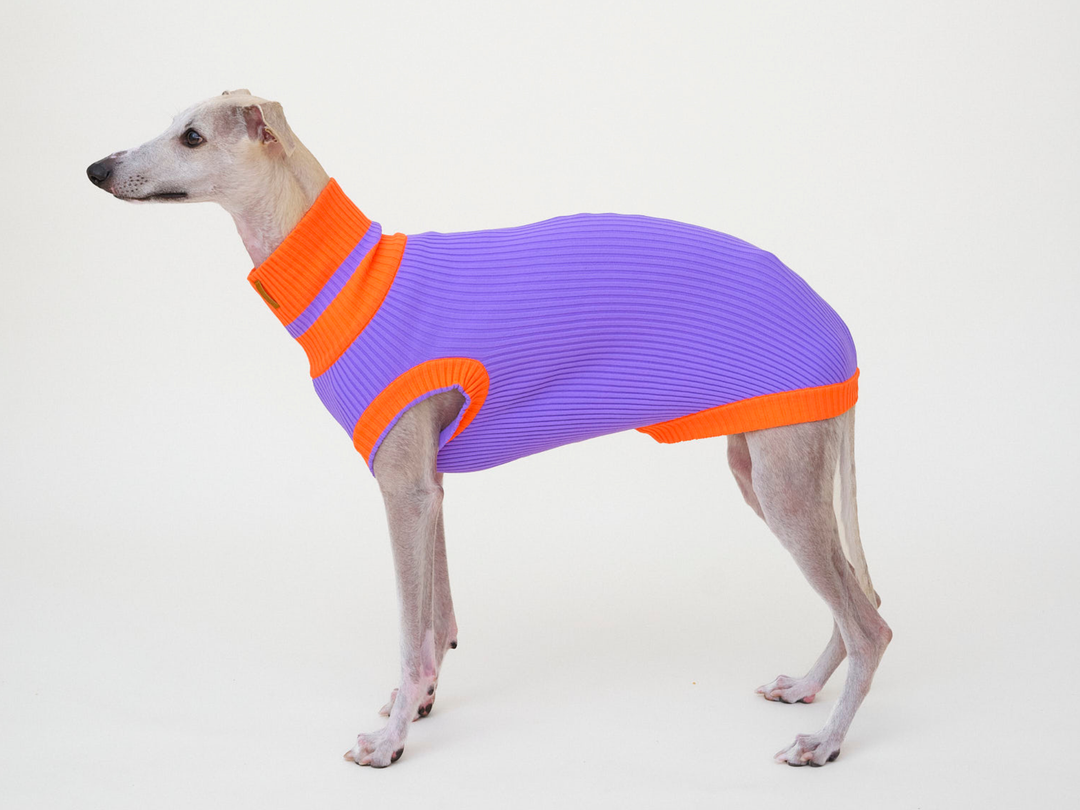 THE GLOW JUMPER 2.0 - Neon Hundepullover - (Poppy Lavender)