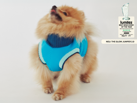 THE GLOW JUMPER 2.0 (Crystal Sky)