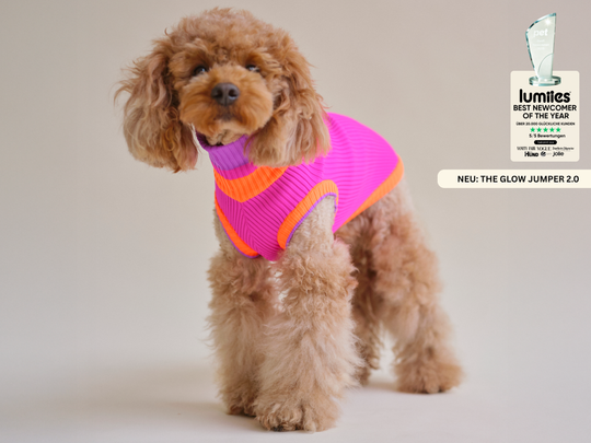 THE GLOW JUMPER 2.0 (Electric Sunset)