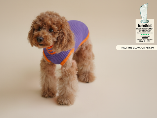 THE GLOW JUMPER 2.0 (Poppy Lavender)